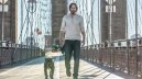 podgląd John Wick 2 - DVD
