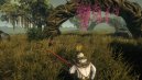 podgląd Outward - PC