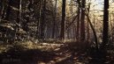 podgląd Blair Witch - PC