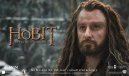 podgląd Hobbit: Bitwa Pięciu Armii - Blu-ray