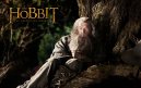 podgląd Hobbit: Niezwykła podróż - Blu-ray 3D + 2D (4BD)