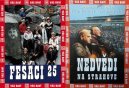 podgląd Hudební kolekce (Nedvědi na Strahově, Fešáci) 2DVD - pošetka