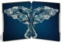 podgląd Vrána - 4K Ultra HD Blu-ray + Blu-ray Steelbook (bez CZ)