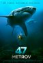 náhled 47 metrů - DVD