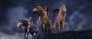 náhled Mustang z Dzikiej Doliny: Droga do wolności - DVD