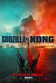 náhled Godzilla kontra Kong - DVD