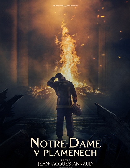 detail Notre-Dame płonie - DVD