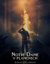 náhled Notre-Dame płonie - DVD