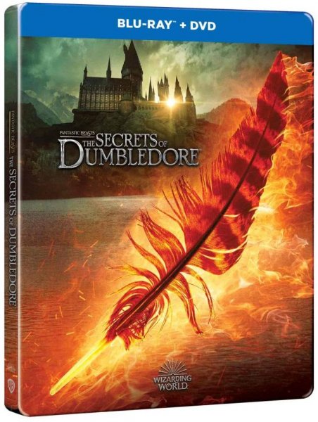 detail Fantastyczne zwierzęta: Tajemnice Dumbledore’a - Blu-ray + DVD Steelbook (Feather)