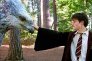 náhled Kolekcja Harry Potter 1–7 (8 filmów) - 4K Ultra HD Blu-ray